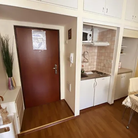 아파트먼트 토마소비체 올드타운 *